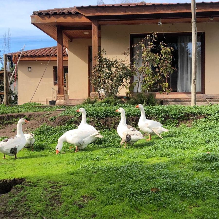 Alojamiento Los Nogales Santa Cruz Bagian luar foto