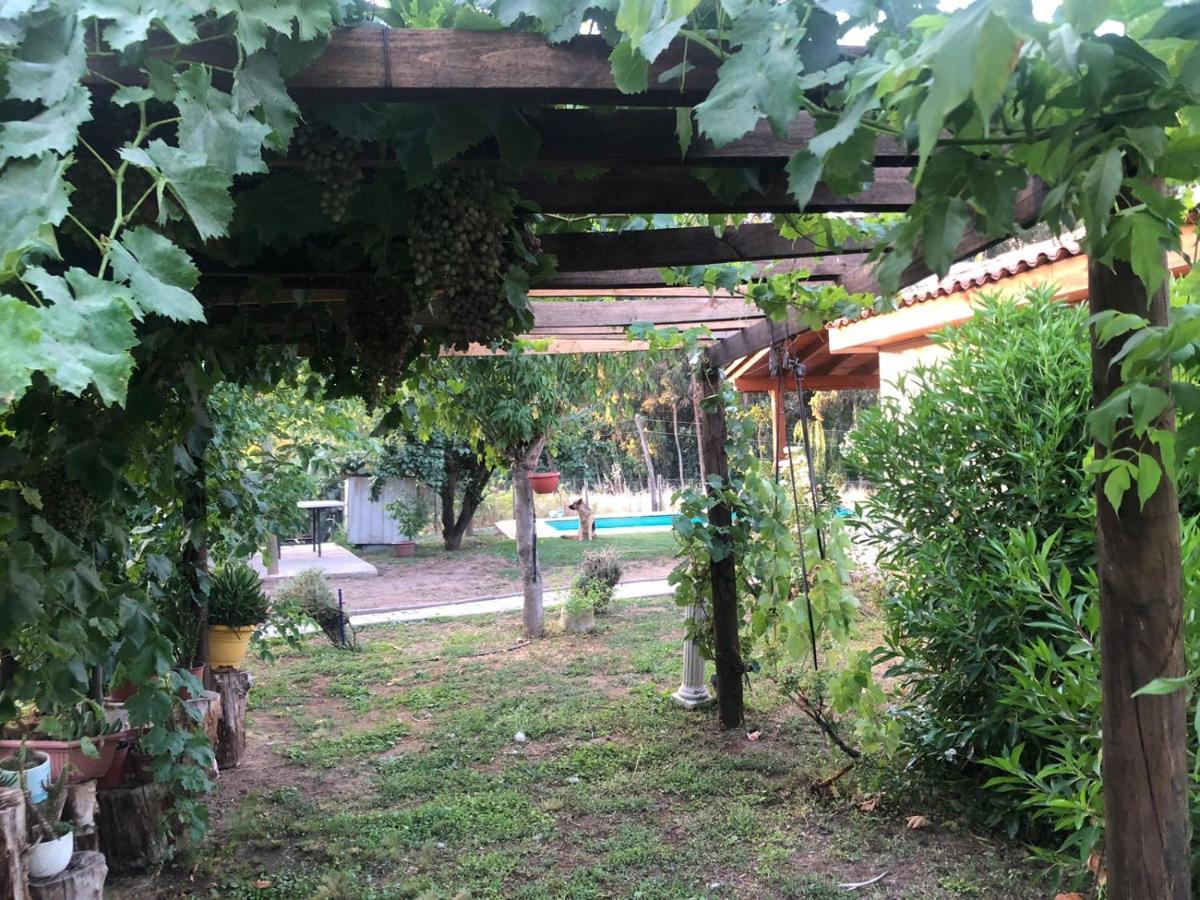 Alojamiento Los Nogales Santa Cruz Bagian luar foto